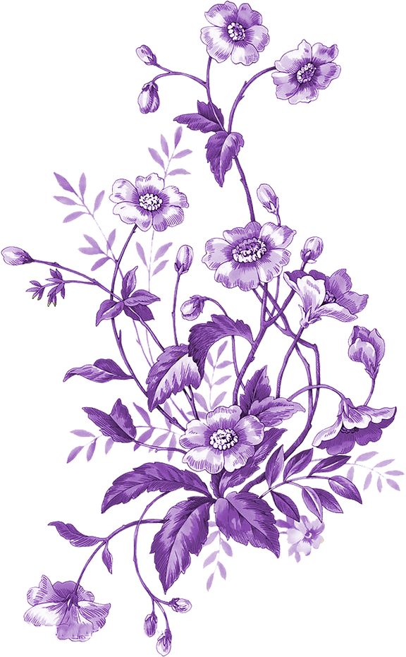 Purple Flowers Illustration 