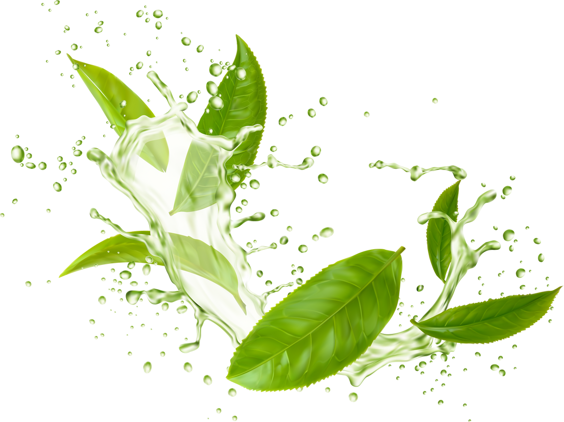 Green tea leaves, wave splash and drops drink